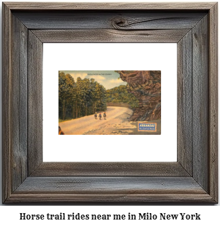 horse trail rides near me in Milo, New York